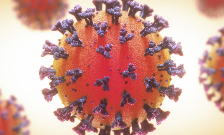 coronavirus 6 1400x592 1
