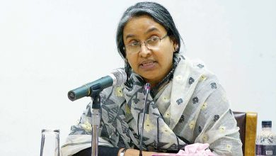 দীপু