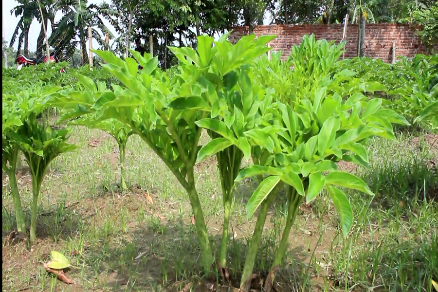 Kategoriya: Onlayn yosh porno 320x240 porno filmlar