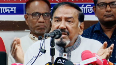 hafij BNP
