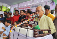rizvi mitford