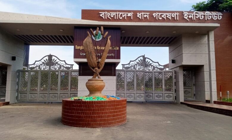 গাজীপুরে ব্রি'র মহাপরিচালক নিয়ে উত্তেজনা, তদন্ত কমিটি গঠন করেছে কৃষি মন্ত্রণালয় 1 935fbd4c ad2b 49a2 a532 813d73fe1c59