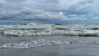 bay 20260510211622