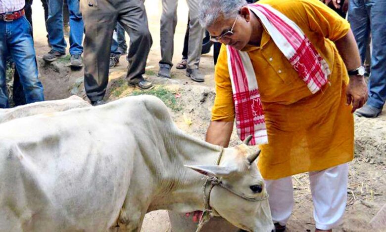 ‘গোমাতা’কে আদর করলে রক্তচাপ কমে! দাবি মন্ত্রী দিলীপের 1 dilip cover