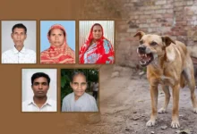 dog 20260520170010