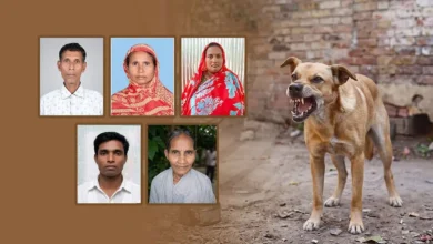 dog 20260520170010