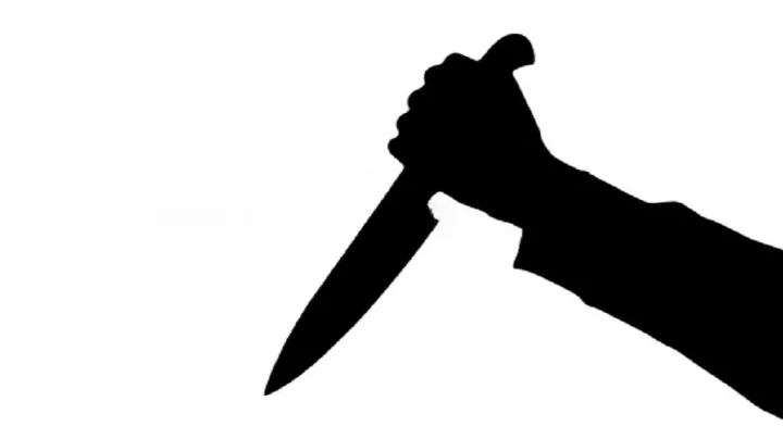 shadow killing knife hand 4b60f43b7dc89d1f079c1149a81bf7e3