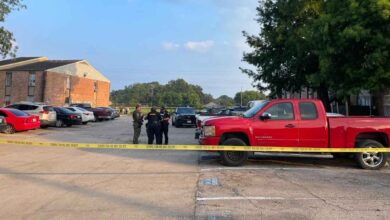 NWGOH4W5FFEBBJSEBDWFSQ6GAI 20260619 103627827